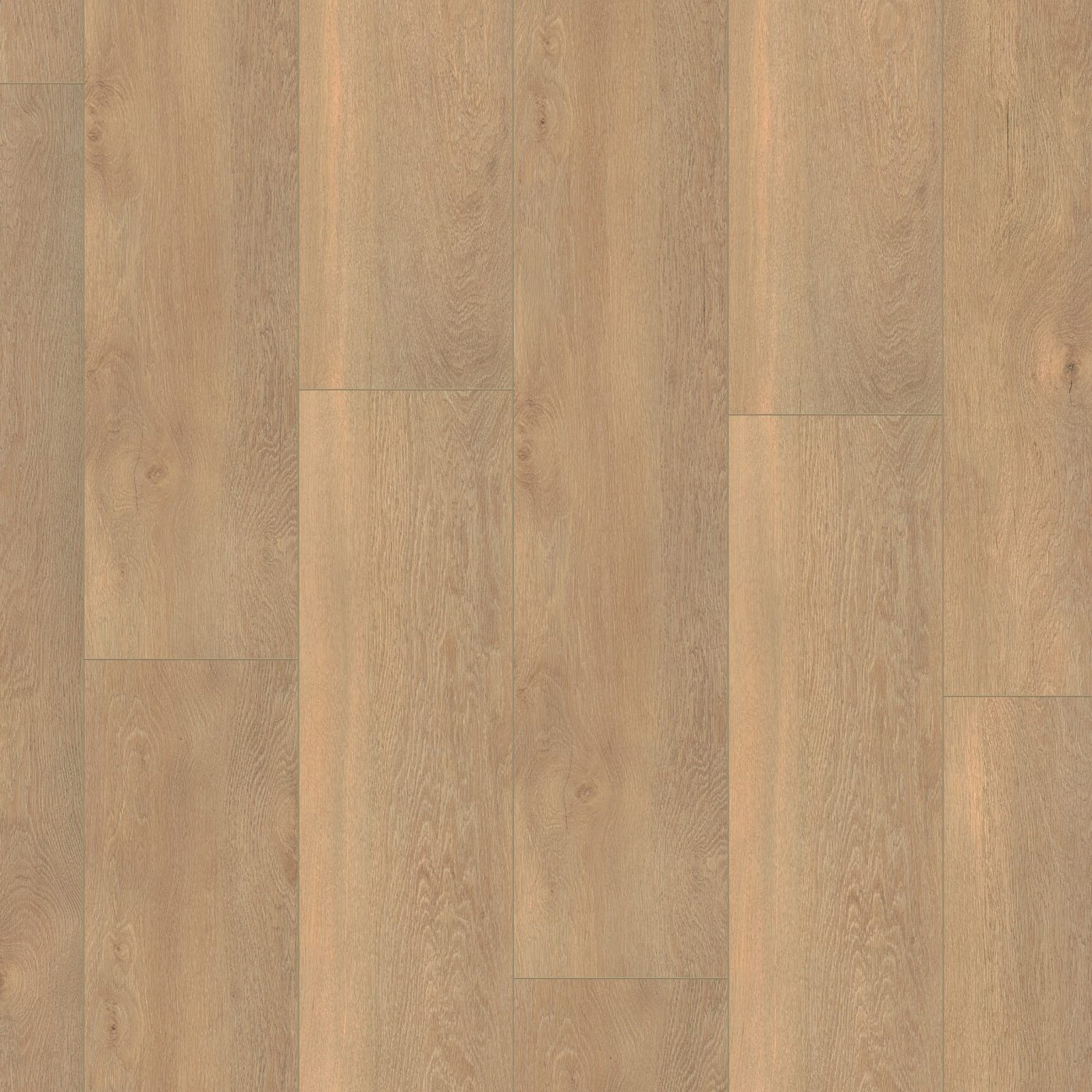 Laminaat Ambiant Saarland beige eiken