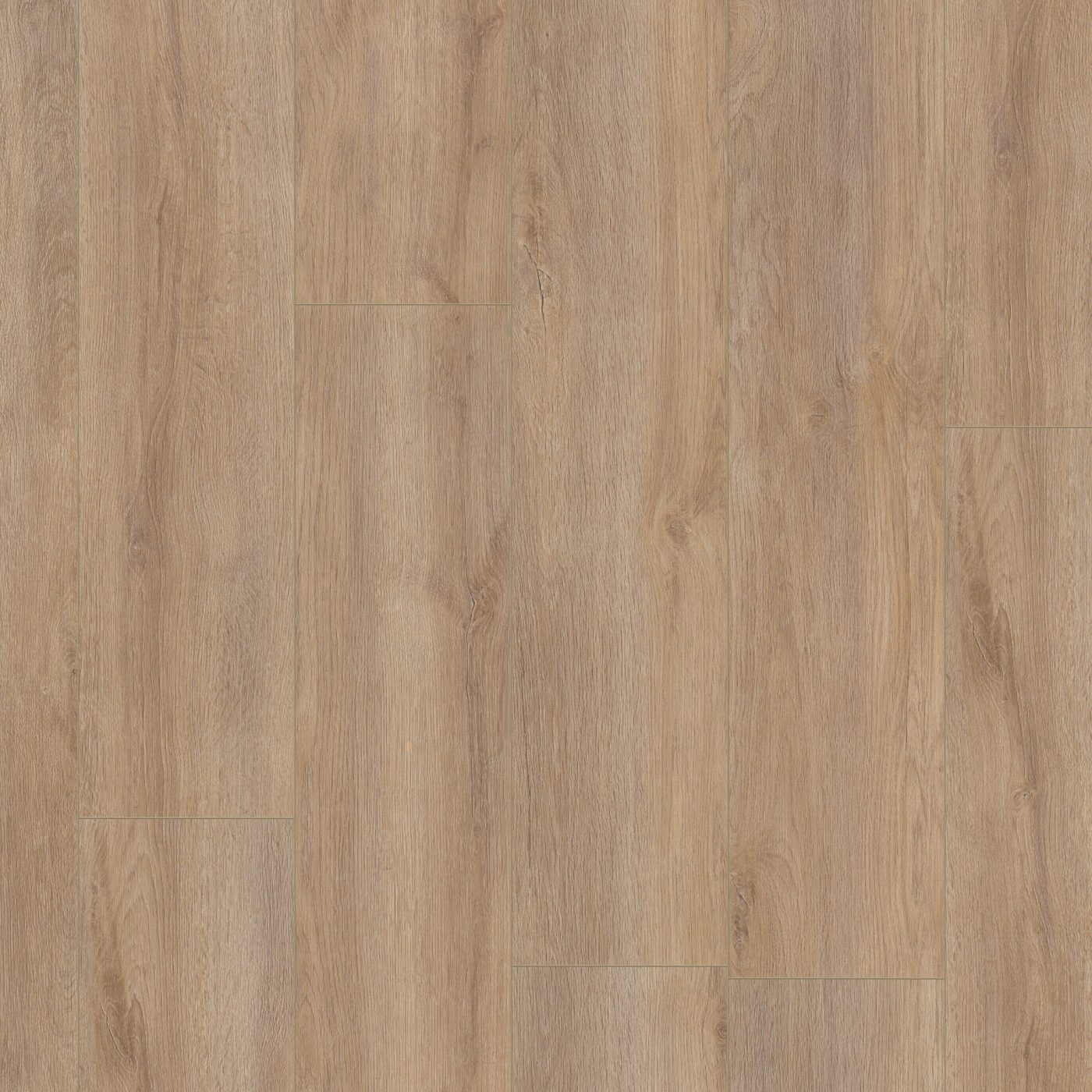 Laminaat Ambiant Prestige oak warm eiken