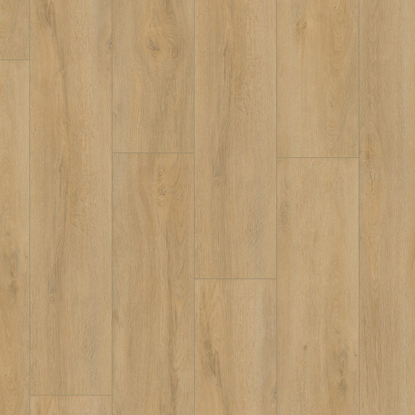 Laminaat Ambiant Prestige oak natuur eiken