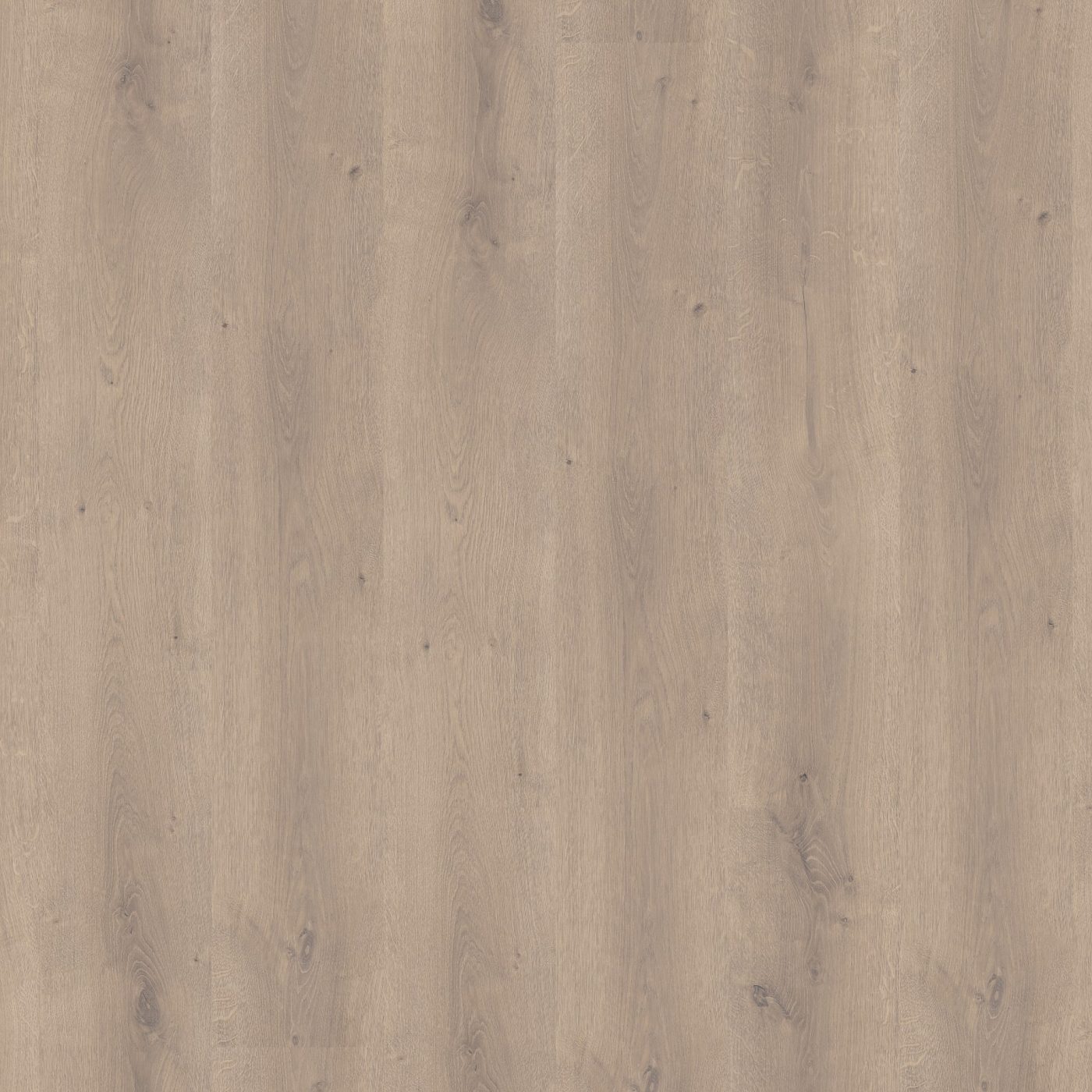 Laminaat Ambiant Elite beige eiken