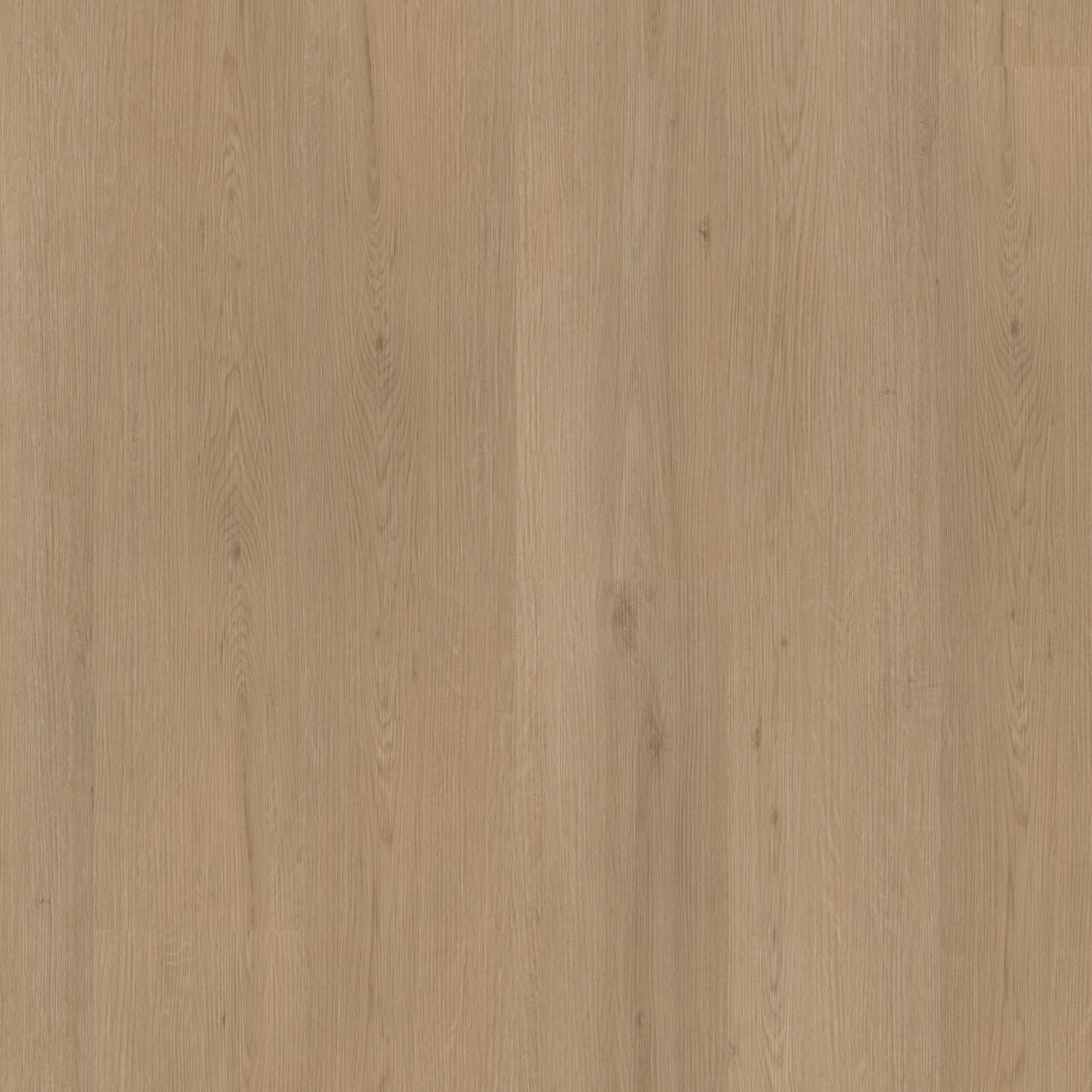 Ambiant plak pvc Venera natural oak