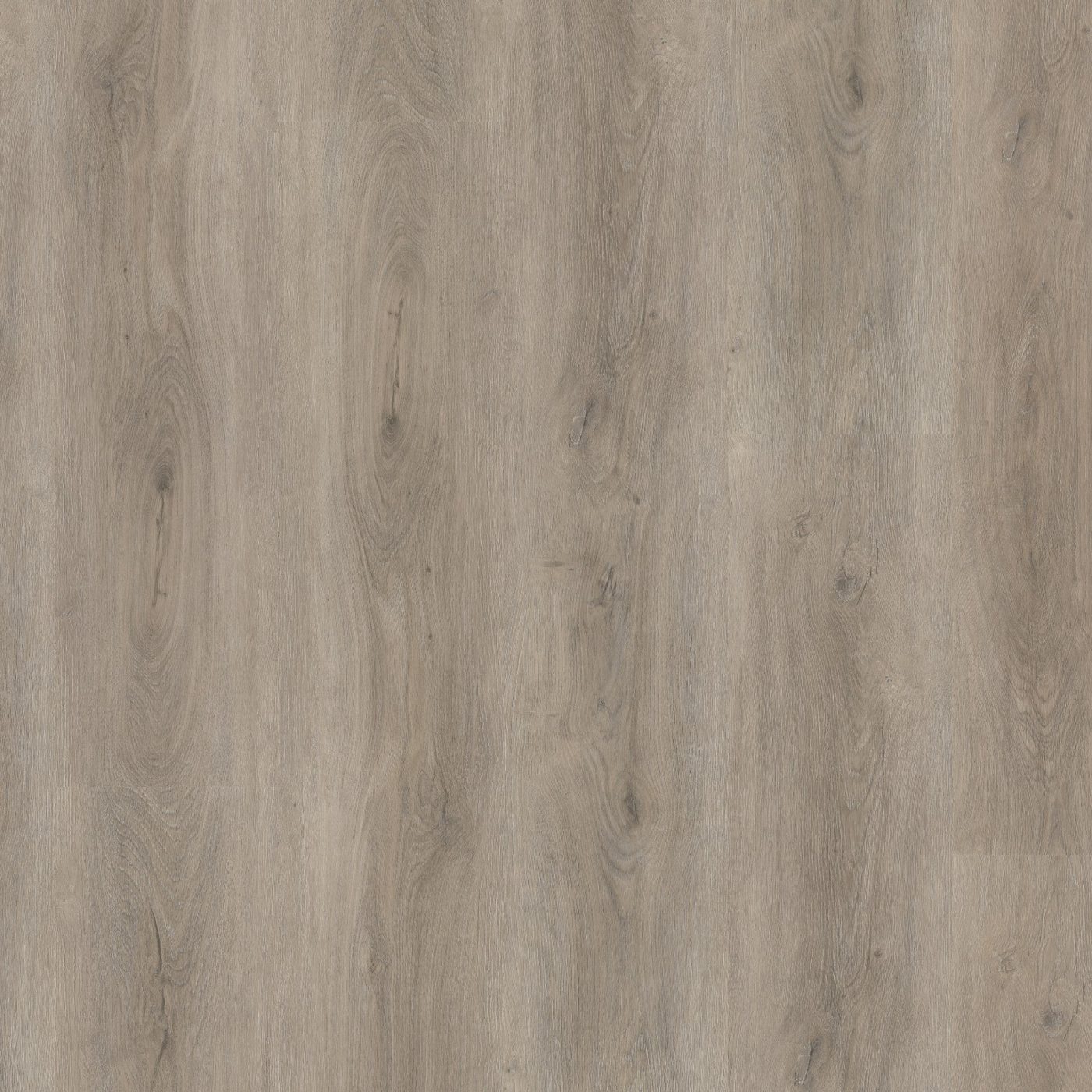 Ambiant plak pvc Robusto light grey