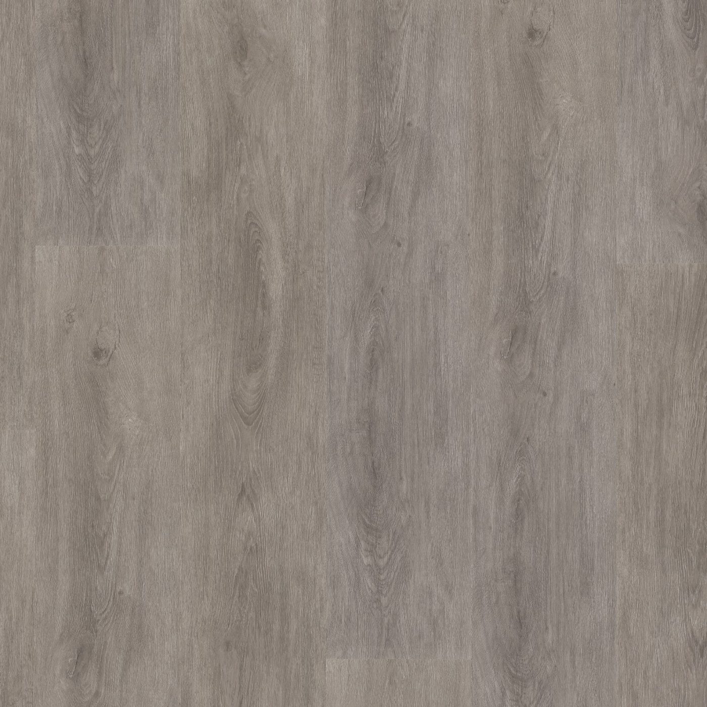 Ambiant plak pvc Robusto grey oak